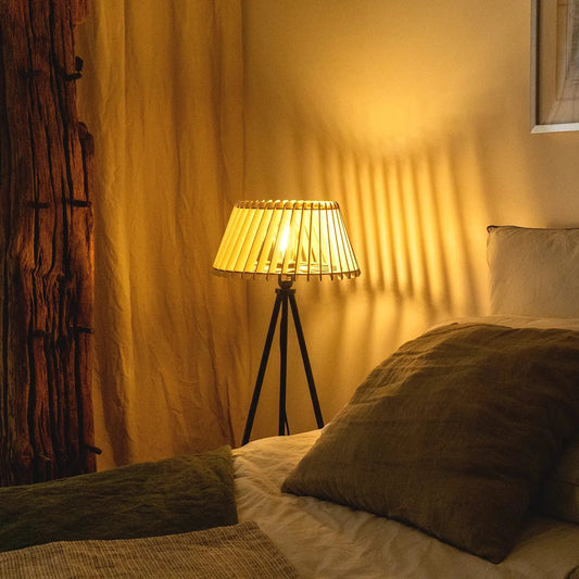 Alizeepetitpiednoir-ambianceallume-3.webp