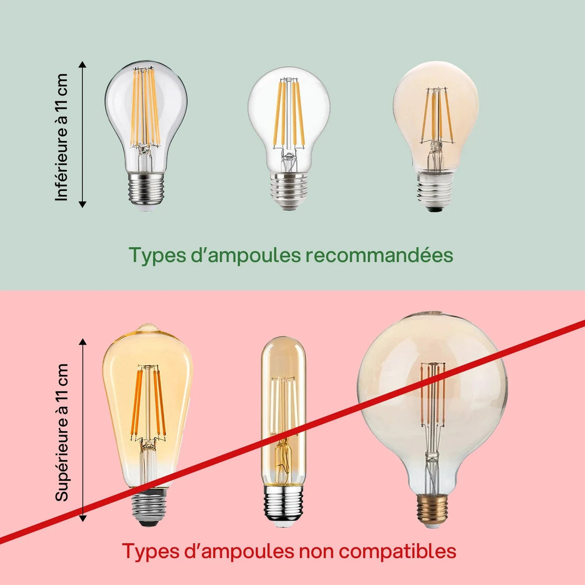 SITE_Ampoules_Minineo_applique_1_1990d493-7a1a-40f2-8f84-6ff898986de9.webp