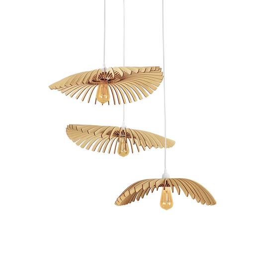 SITE_cygnes_clair_packshot_1.png