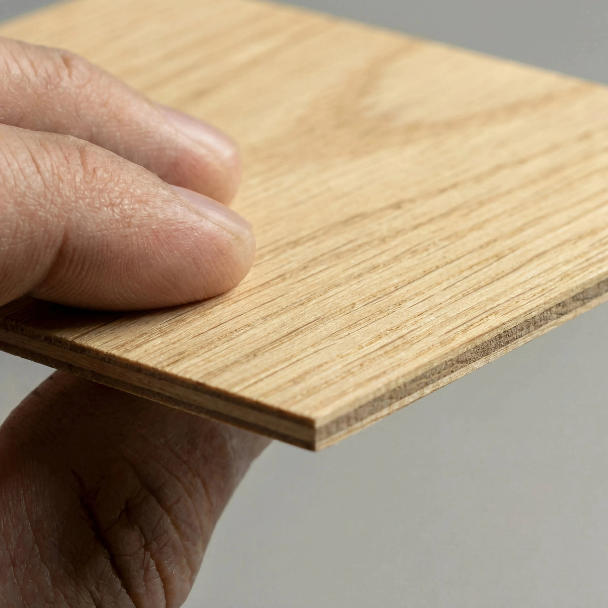SITE_detail_bois_chene.webp