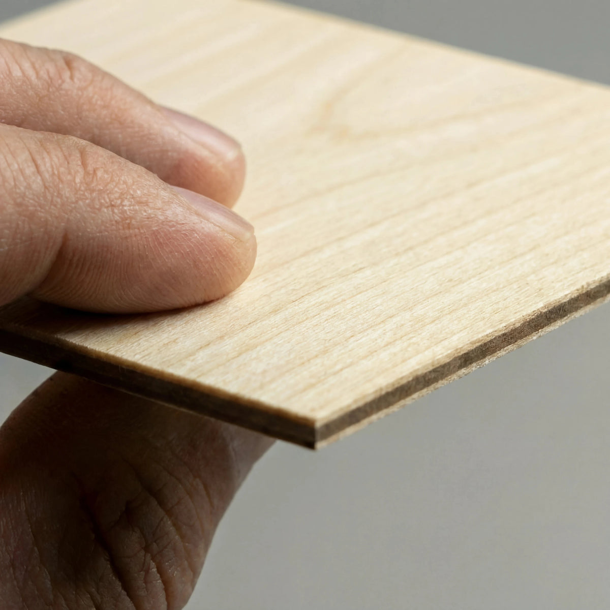 SITE_detail_bois_clair.webp