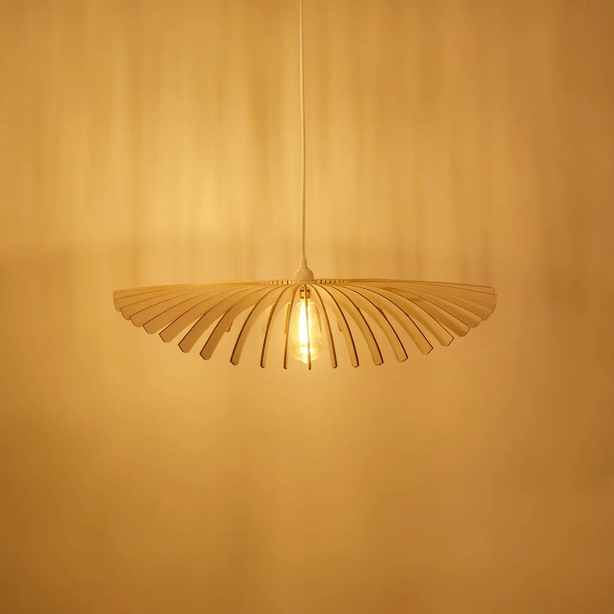 WEBP_cygne_seul_peuplier_diffusionlumineuse_1.png