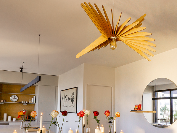 albatros-chene-decor-2.png