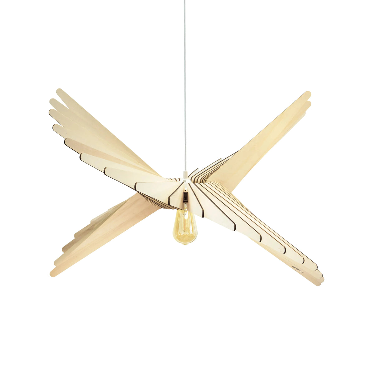 albatros-packshot.webp