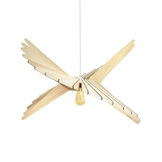 albatros-packshot.webp