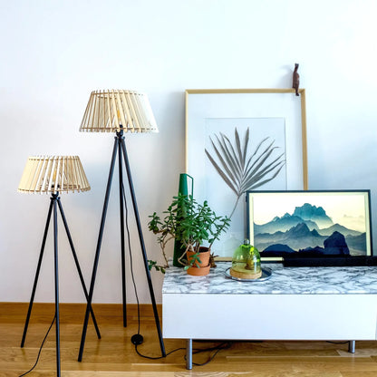 alizeepetgpiedsnoir-ambiance-4.webp