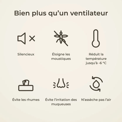 avantages-ventilateur_7959e5fe-ddce-4e7d-ba4e-ea041bacbc78.webp