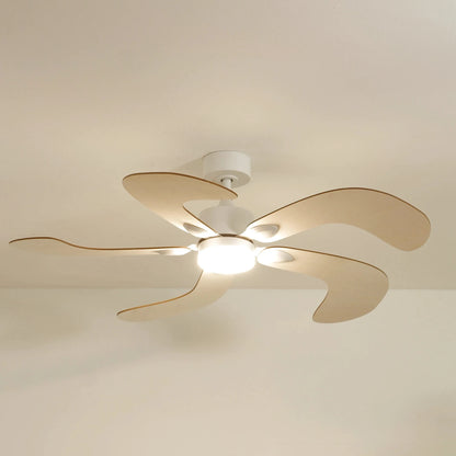 colibri-1-on-edited.webp