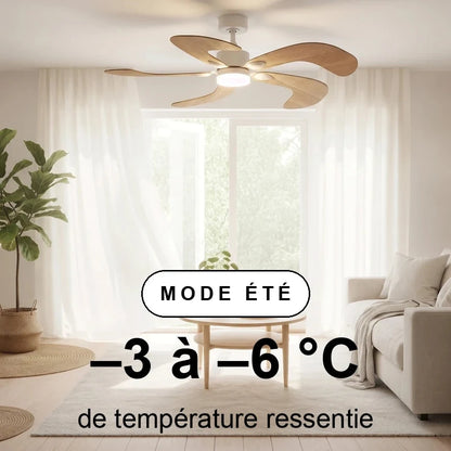 colibri-scene-ete-overlay.webp