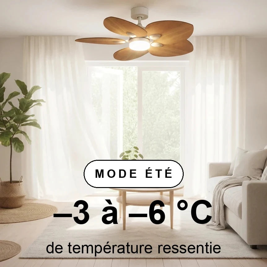dahlia-scene-ete-overlay.webp