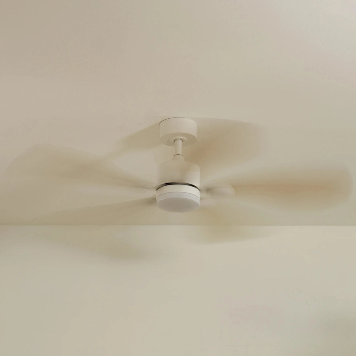 libellule-6-spin-off.webp