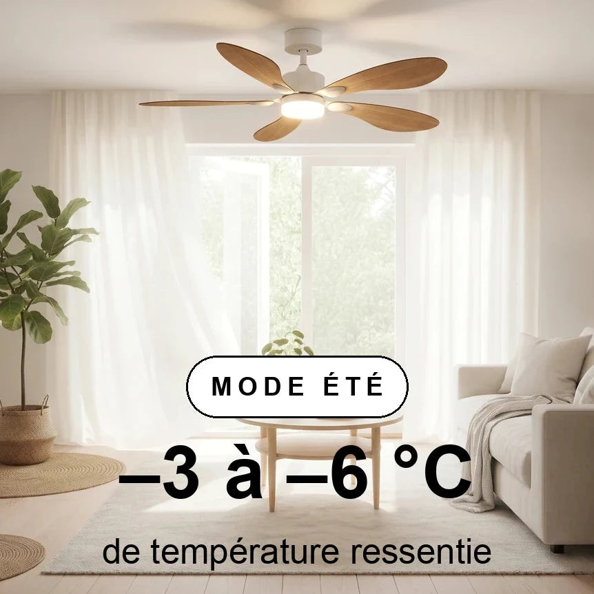 libellule-scene-ete-overlay.webp