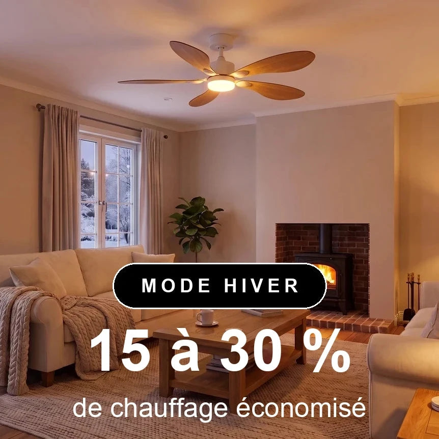 libellule-scene-hiver-1x1-overlay.webp