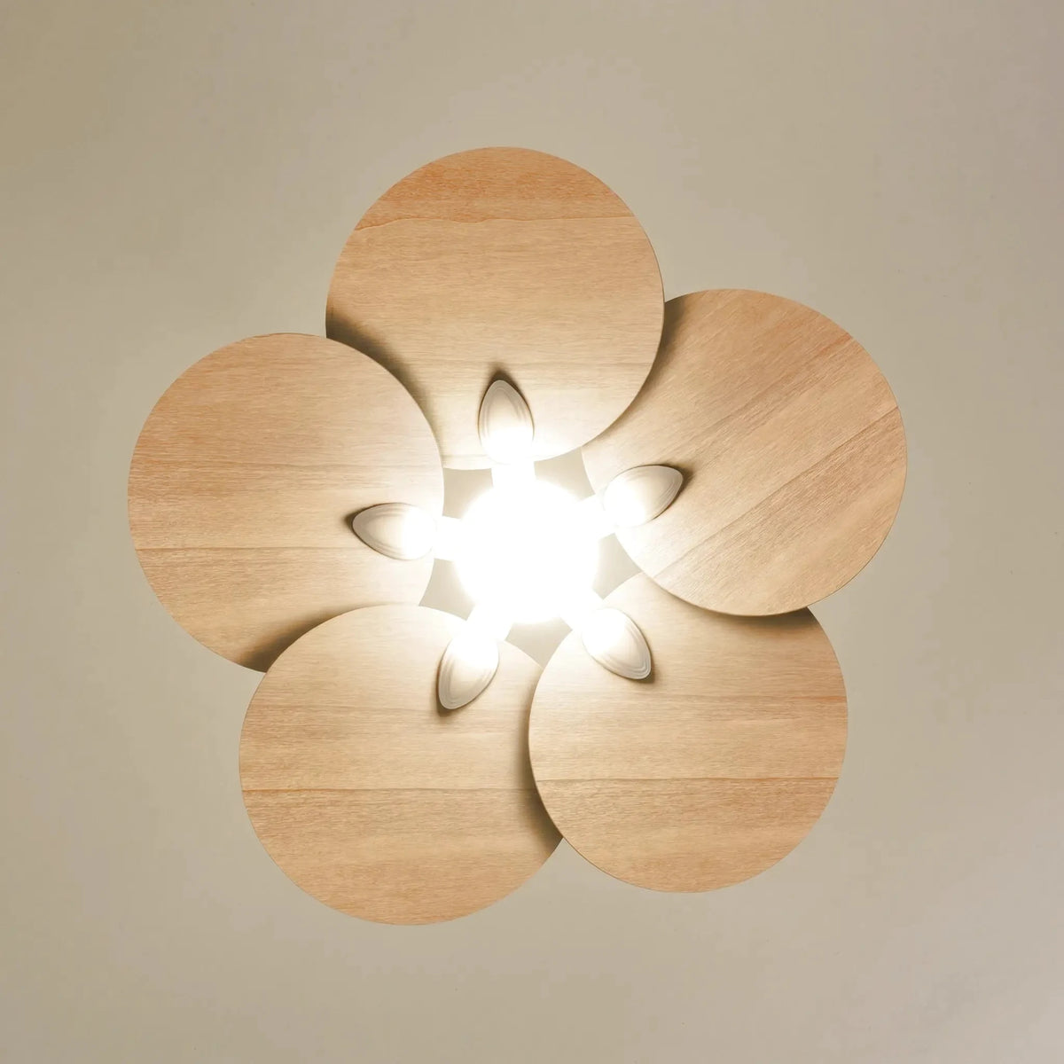 lotus-3-bottom-cropped_studio_v1-edited.webp