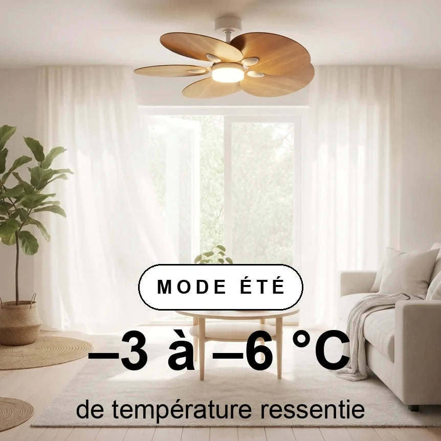 lotus-scene-ete-overlay.webp