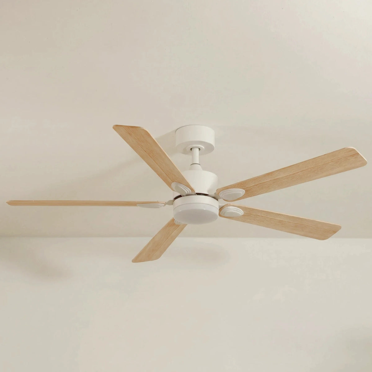 mistral-5-off_studio_v1-edited.webp