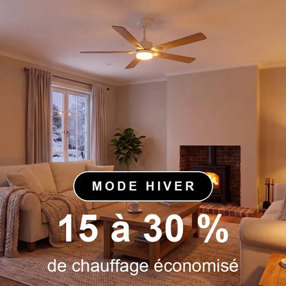 mistral-scene-hiver-1x1-overlay.webp