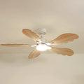 plume-1-on_studio_v1-edited.webp