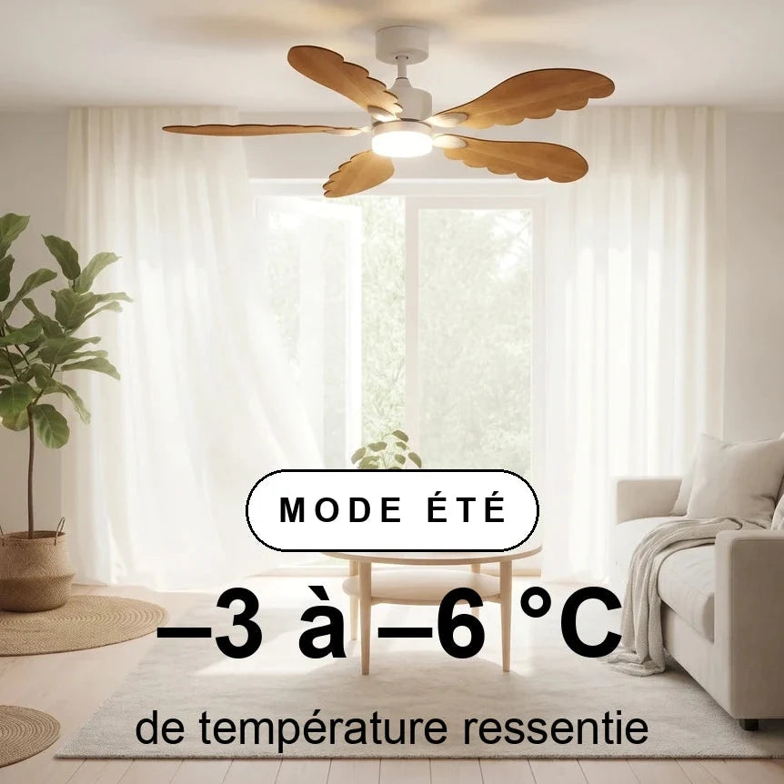 plume-scene-ete-overlay.webp