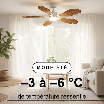 plume-scene-ete-overlay.webp
