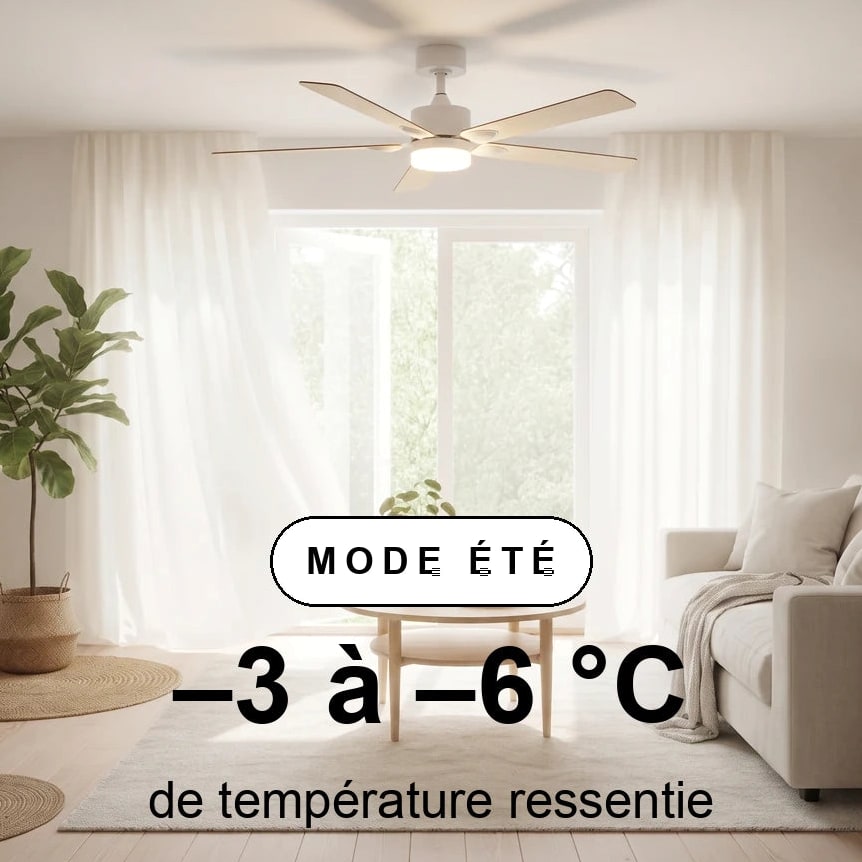 scene-ete-overlay.jpg