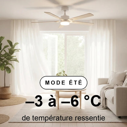 scene-ete-overlay.jpg