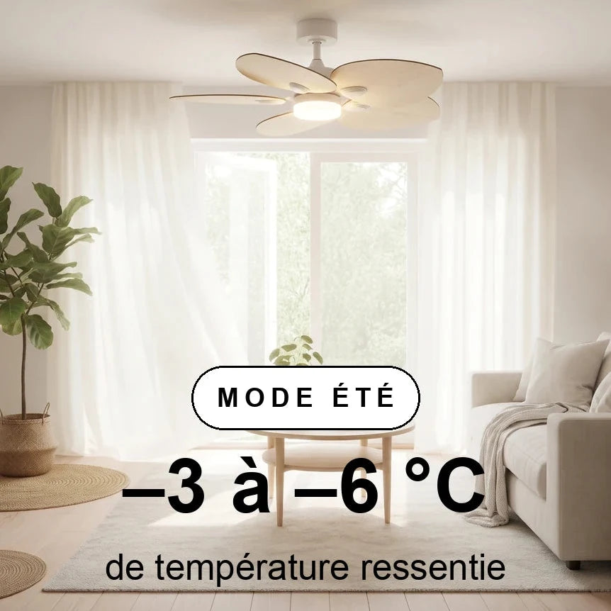 scene-ete-overlay_69d5dc06-7294-4eae-89e8-9a57532bb0f6.webp