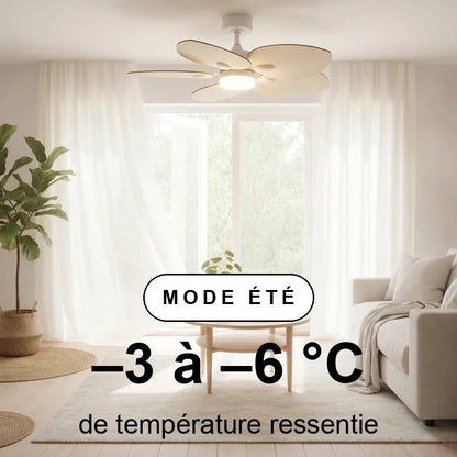 scene-ete-overlay_69d5dc06-7294-4eae-89e8-9a57532bb0f6.webp