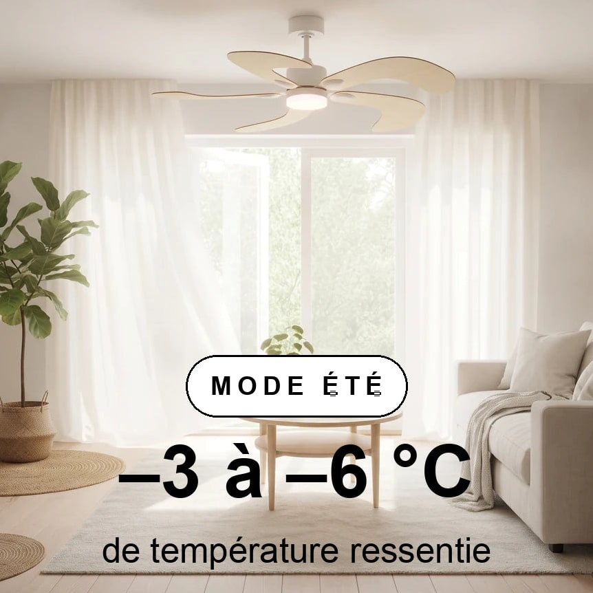 scene-ete-overlay_97fb52ed-11b6-419a-81a0-ef4585fce054.jpg