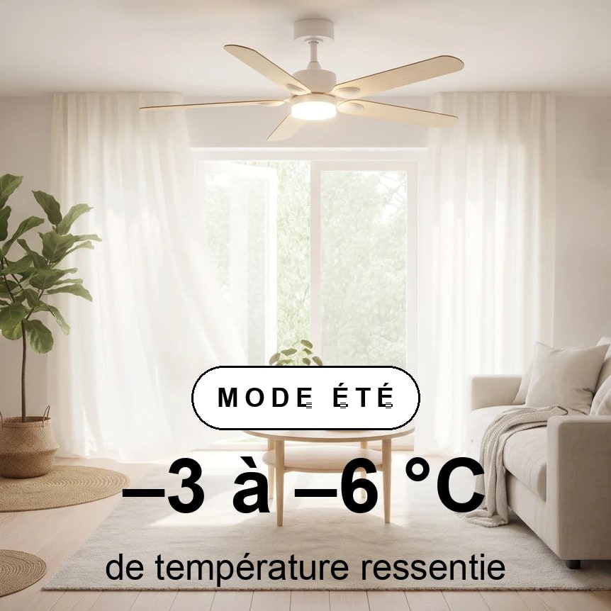 scene-ete-overlay_d21b4ff0-c71d-4a5d-87c4-e6689c6e0fea.jpg