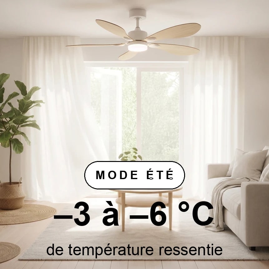 scene-ete-overlay_d3b94ded-2a3a-4b8f-9c0b-40a857d33d5e.jpg
