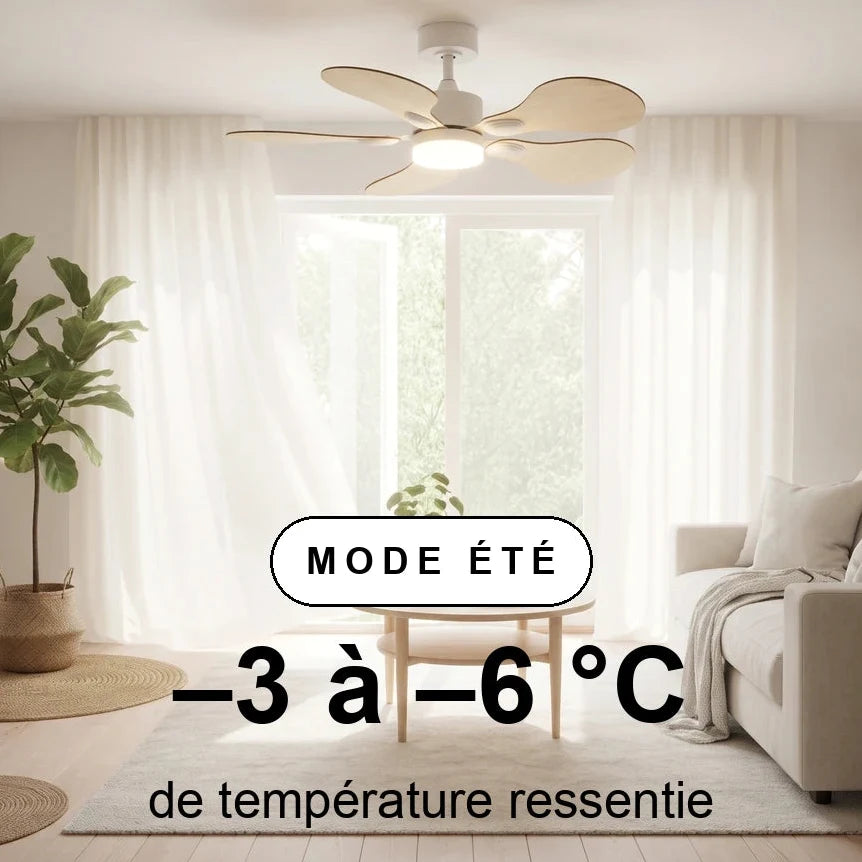 scene-ete-overlay_f8673935-da24-4f37-95a6-b21310de7463.webp