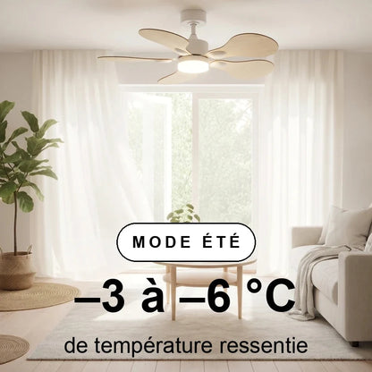 scene-ete-overlay_f8673935-da24-4f37-95a6-b21310de7463.webp