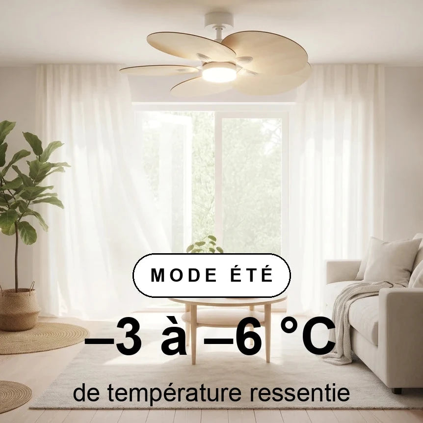 scene-ete-overlay_ff11e881-fef7-4445-921b-880b05bd43a9.webp
