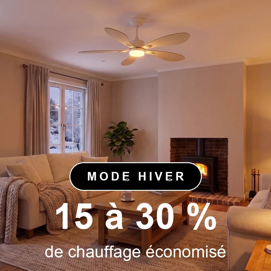 scene-hiver-1x1-overlay_1f5debd9-c3db-4d01-b8bd-52cb9c91e4ce.jpg