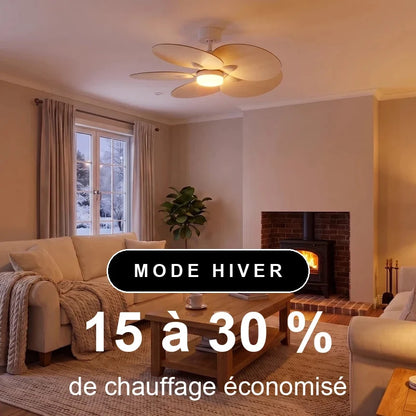 scene-hiver-1x1-overlay_26cde2f0-ebe1-41b4-982a-3f1a247befbf.webp