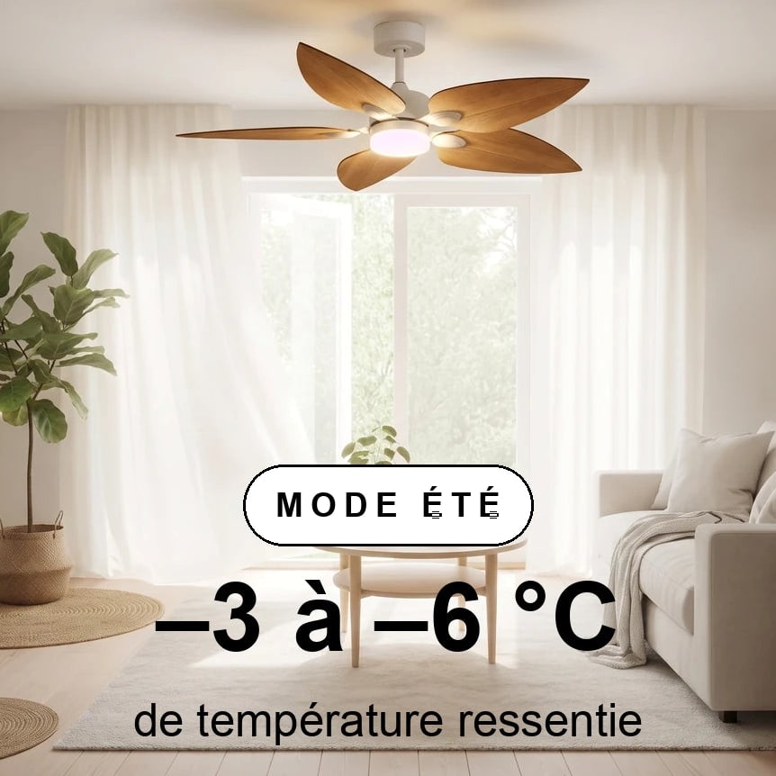 virevole-scene-ete-overlay.jpg