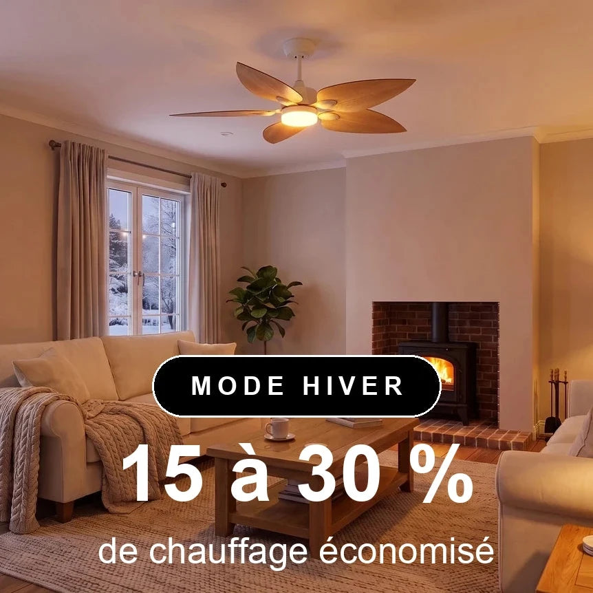 virevole-scene-hiver-1x1-overlay.webp